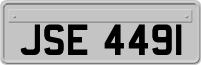 JSE4491
