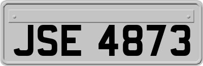 JSE4873