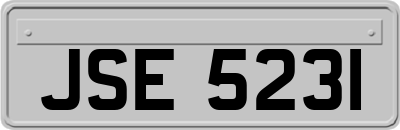 JSE5231