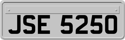JSE5250