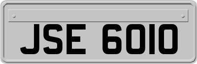 JSE6010