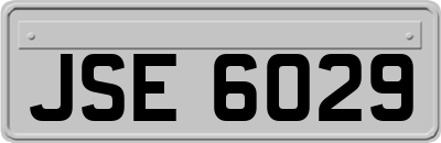 JSE6029