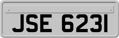 JSE6231