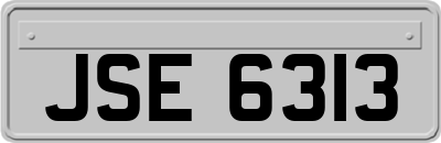 JSE6313