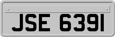 JSE6391