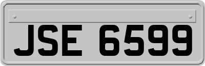 JSE6599
