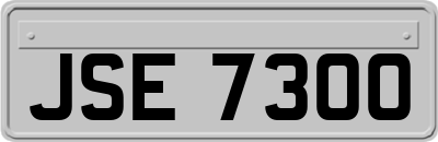 JSE7300
