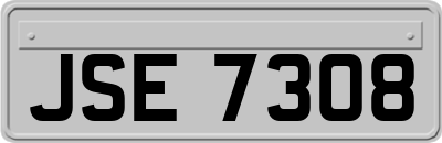 JSE7308