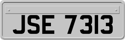 JSE7313
