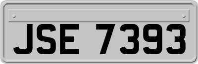 JSE7393