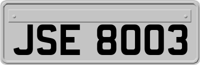 JSE8003