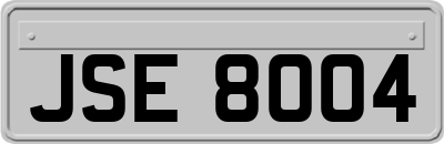 JSE8004