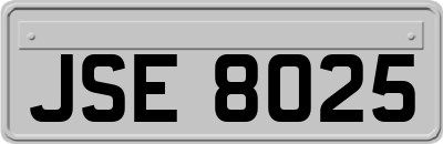 JSE8025