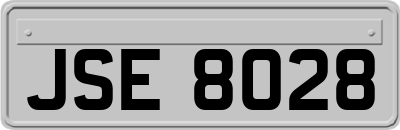 JSE8028