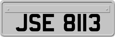 JSE8113