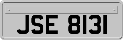 JSE8131