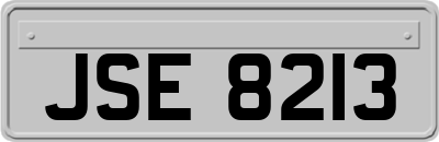JSE8213