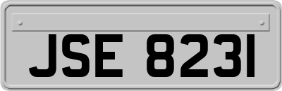 JSE8231