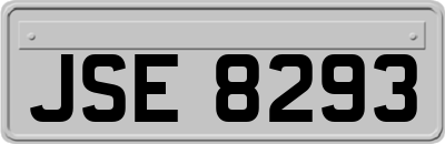JSE8293
