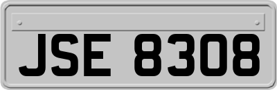 JSE8308