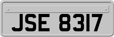 JSE8317