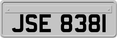 JSE8381