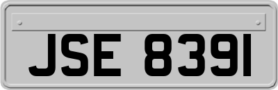 JSE8391