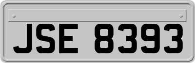 JSE8393