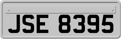 JSE8395