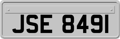 JSE8491