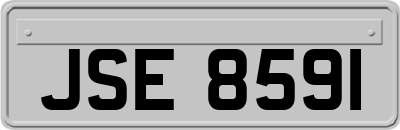 JSE8591