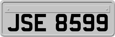 JSE8599