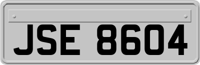 JSE8604