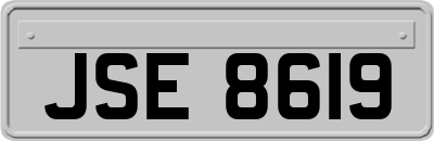 JSE8619