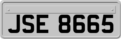 JSE8665