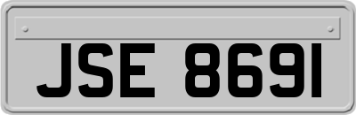 JSE8691