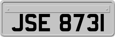 JSE8731
