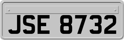 JSE8732