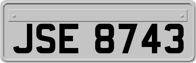 JSE8743
