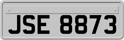 JSE8873