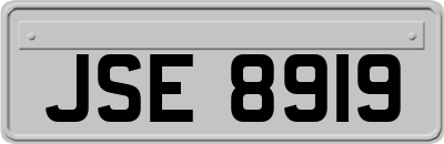 JSE8919
