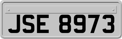 JSE8973