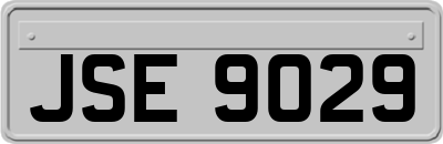 JSE9029