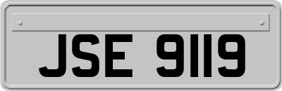 JSE9119