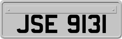 JSE9131