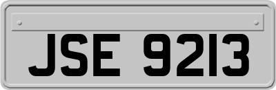 JSE9213
