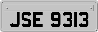 JSE9313