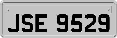 JSE9529