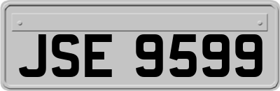 JSE9599