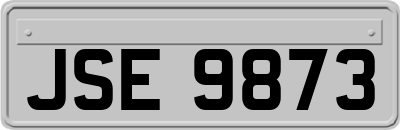 JSE9873